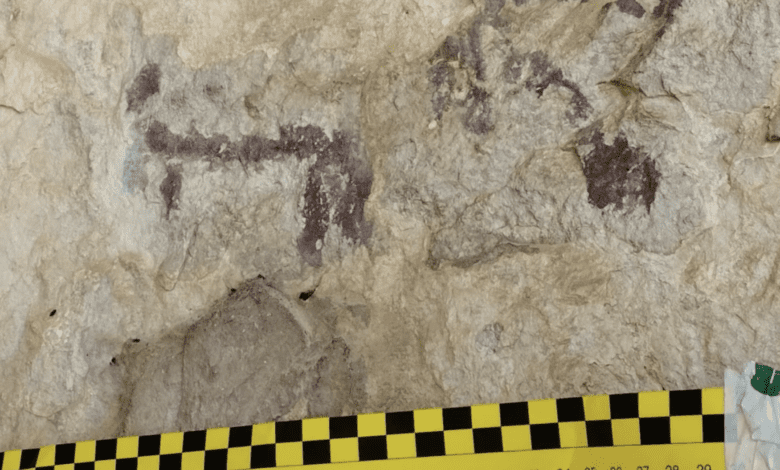 Турист повредил древние наскальные рисунки в Андалусии ради фотографий