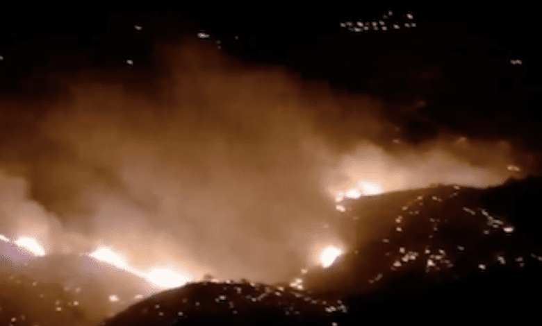 В Гранаде бушуют крупные лесные пожары