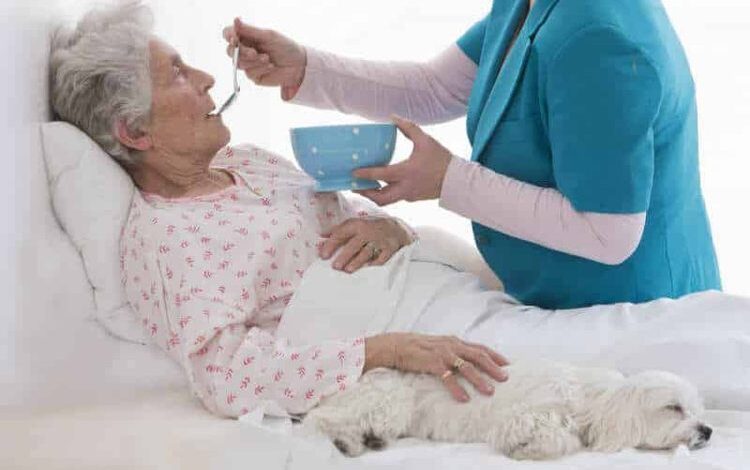 Испания и современное рабство: нелегалки ухаживают за престрелыми и детьми