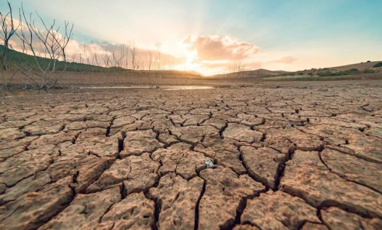 Средиземноморский климат в Испании может превратиться в степной