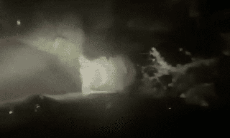 В Кантабрии медведь напал на машину с отцом и сыном