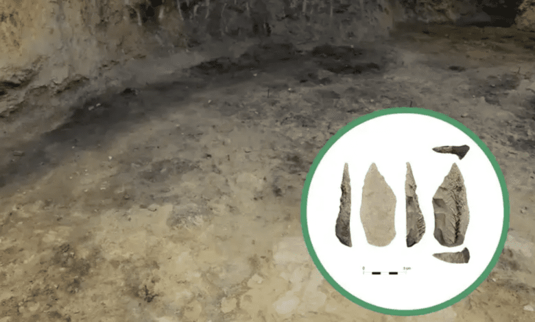 В Каталонии нашли оружие, использованное 50 тысяч лет назад