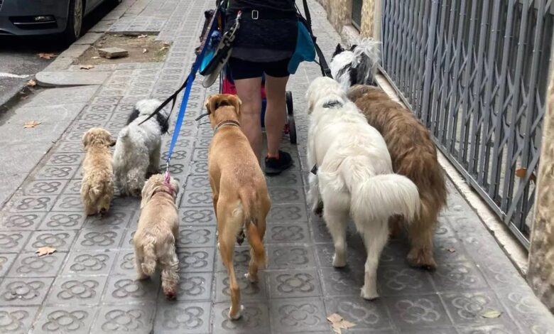 Новый курс для будущих владельцев собак