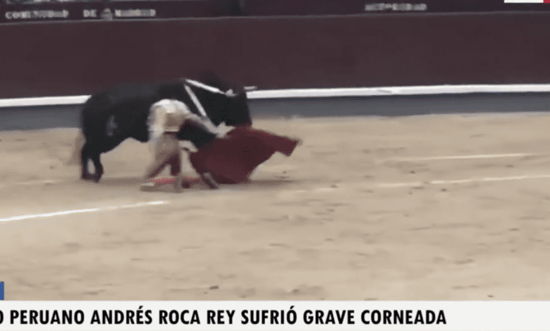 В Мадриде бык распорол ягодицу перуанскому матадору