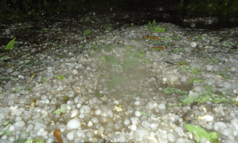 В Альмерии выпал град размером с мяч для гольфа