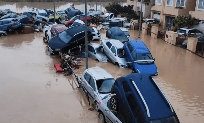 Правительство утвердило оплачиваемые климатические отпуска