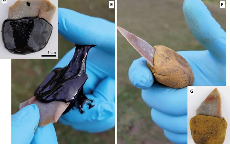 В Испании обнаружили 65000-летнюю печь неандертальцев для перегонки смолы