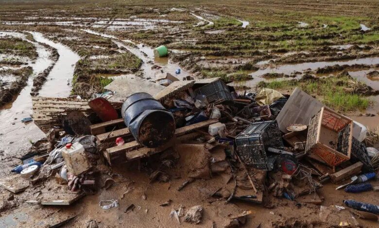 Ущерб сельскому хозяйству Валенсии оценили в миллиард евро