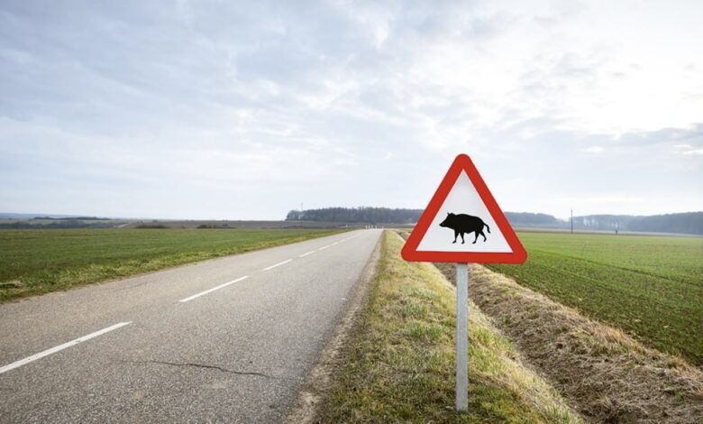 Новая причина провала экзамена на права в Испании