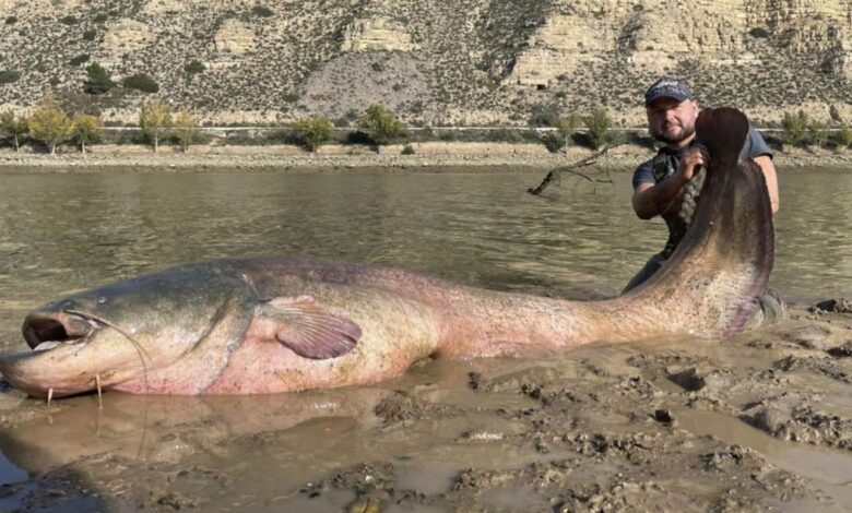 Польский рыбак поймал огромного сома в Испании