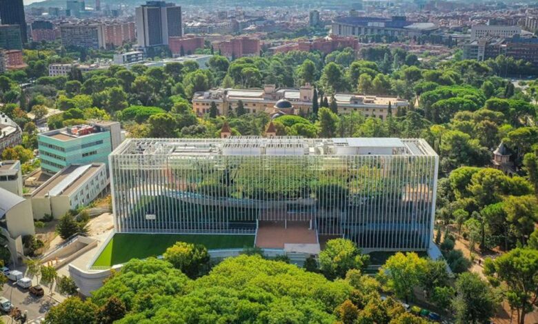 Центр развития ИИ появится в Барселоне