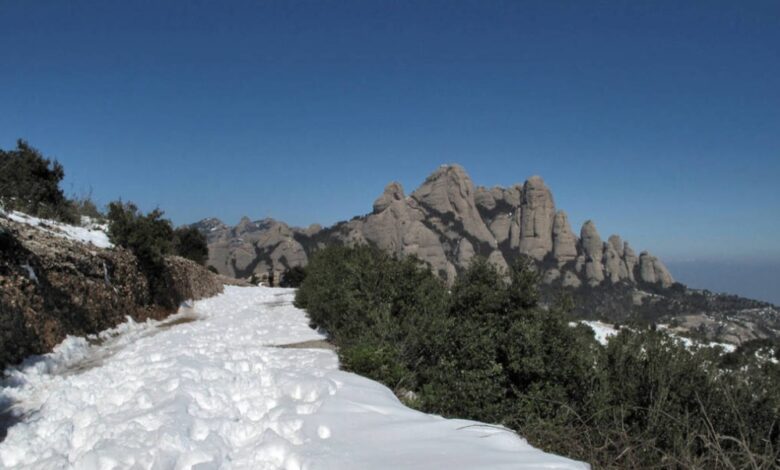 Холодная погода пришла в Барселону