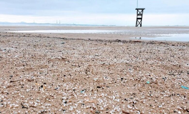 Назван самый «пластиковый» пляж Каталонии