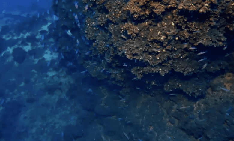 У Канарских островов найдена гора из легенды об Атлантиде