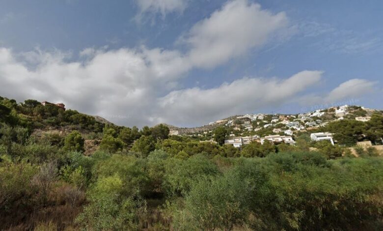 Суд отменил многомиллионный иск в Альтеа