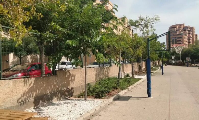 Зелёные перемены в школах Аликанте