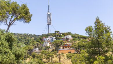 Жители гор Барселоны бьют тревогу из-за угрозы масштабных лесных пожаров