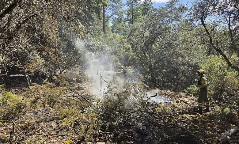 Испания сталкивается с волной поджогов: почему поймать виновных так сложно