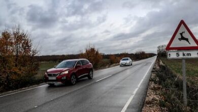 Автобусы и междугородние автобусы в Испании: рекордно низкая смертность на дорогах