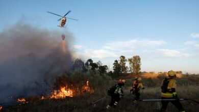 Лесной пожар в Ментриде (Толедо) под контролем после уничтожения 3200 гектаров