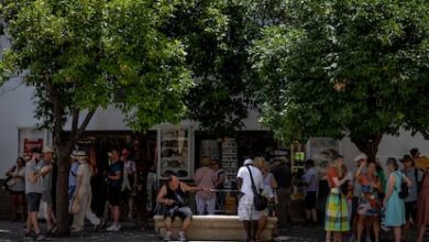 Два человека погибли от теплового удара в Аликанте и Кастельоне