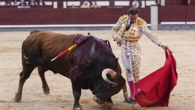 Вторая коррида Сан-Фермин в Памплоне: кто выйдет на арену 8 июля