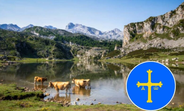 «Estar pingando»: как одна фраза из Астурии удивляет всю Испанию