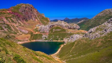 В Астурии стартуют съемки новой части культовой саги «Голодные игры»