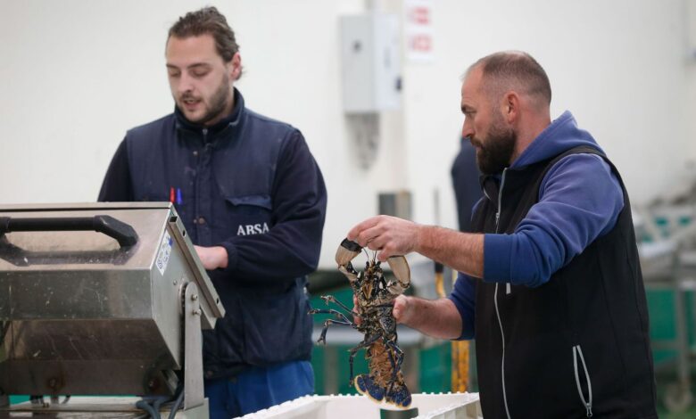 В Галисии стартовала программа скидок на рыбу для поддержки местных рыбаков