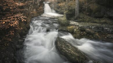 Скрытая жемчужина Ла-Риохи: ледяная купель среди горных лесов