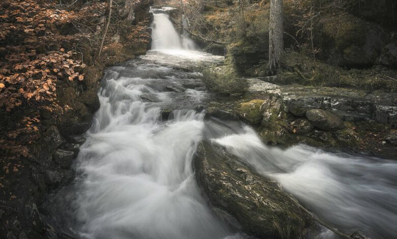 Скрытая жемчужина Ла-Риохи: ледяная купель среди горных лесов