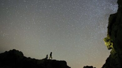 В Барселоне ожидается пик метеорного потока Дельта-Аквариды: когда и где наблюдать