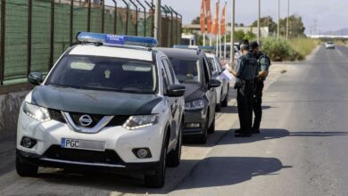 В Толедо раскрыта крупная подпольная плантация марихуаны: задержаны двое подозреваемых