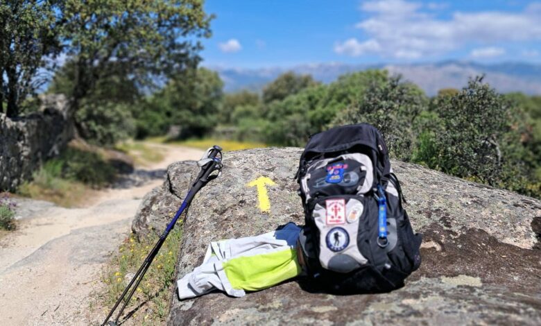 Мадридский путь к Сантьяго: легкий маршрут с историей и природой