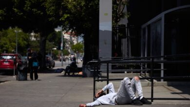 В Испании за 2024 год зафиксировано более 3600 жертв расовой дискриминации