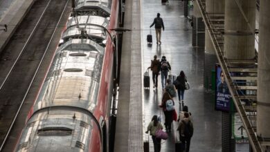 Два человека погибли под колесами поезда Alvia на подъезде к Саламанке