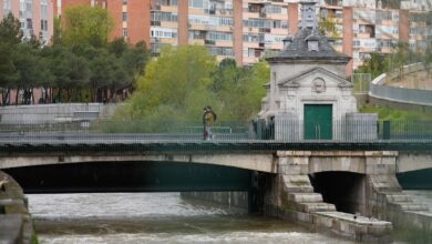 Вода Мадрида под угрозой: загрязнение Мансанареса вызывает тревогу у экологов и жителей