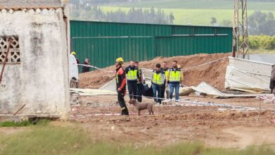 Всплеск смертей на рабочих местах в Севилье: тревожная статистика и причины трагедий