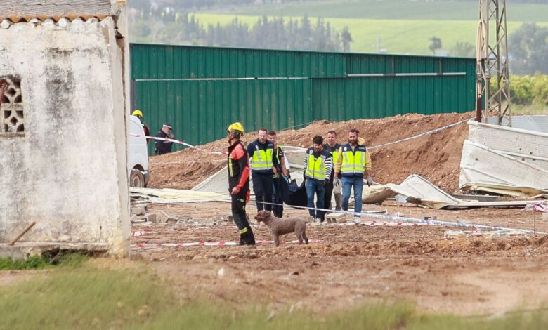 Всплеск смертей на рабочих местах в Севилье: тревожная статистика и причины трагедий