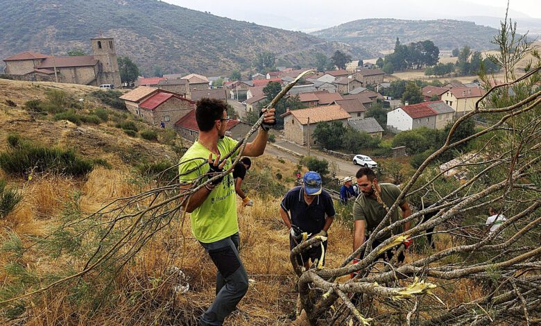 Spanish Villagers Save Their Homes from Wildfires by Defying Authority Bans