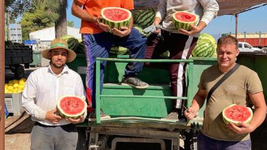 Испания сохраняет лидерство в Европе по уровню молодежной безработицы