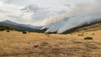 Пожар в Монтанья-Палентина угрожает уникальному заповеднику бурого медведя