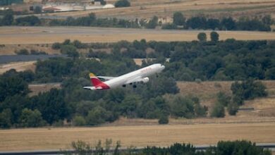 Самолет рейса Мадрид — Париж совершил экстренную посадку после столкновения с птицей