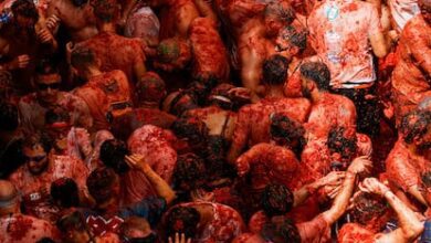 В Буньоле прошла яркая Томатина-2025: тысячи участников и море эмоций