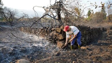 Власти Испании спорят о борьбе с пожарами: регионы требуют невозможного от Мадрида