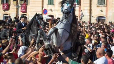 Туристка в Менорке лишилась пальца из-за укуса лошади на празднике