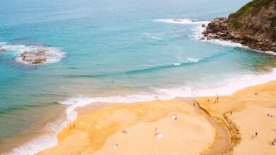 В Стране Басков впервые введены штрафы за курение на пляже: опыт города Сараутс