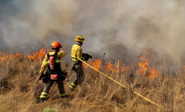 Castile and León Firefighters Demand Change After Chaos in Wildfire Response