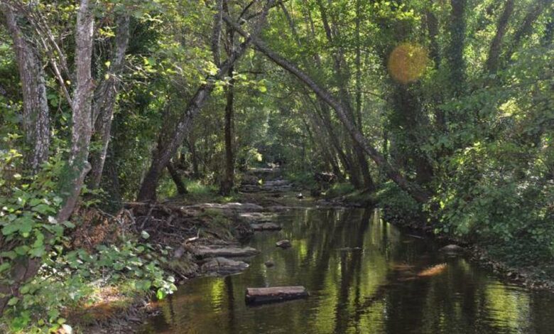 Natural Oasis in Seville: Where to Find Coolness and Escape the Summer Heat in 2025