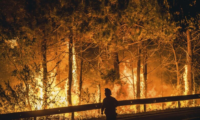 Масштабные лесные пожары выявили слабые места в системе тушения огня в Испании